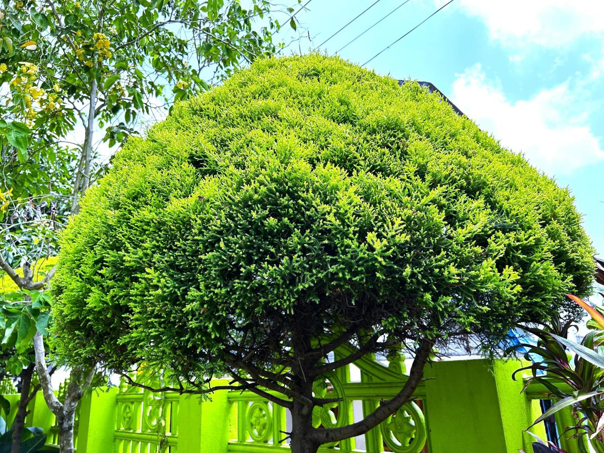 Deluxe Residency Hotel Kalpetta Exterior photo