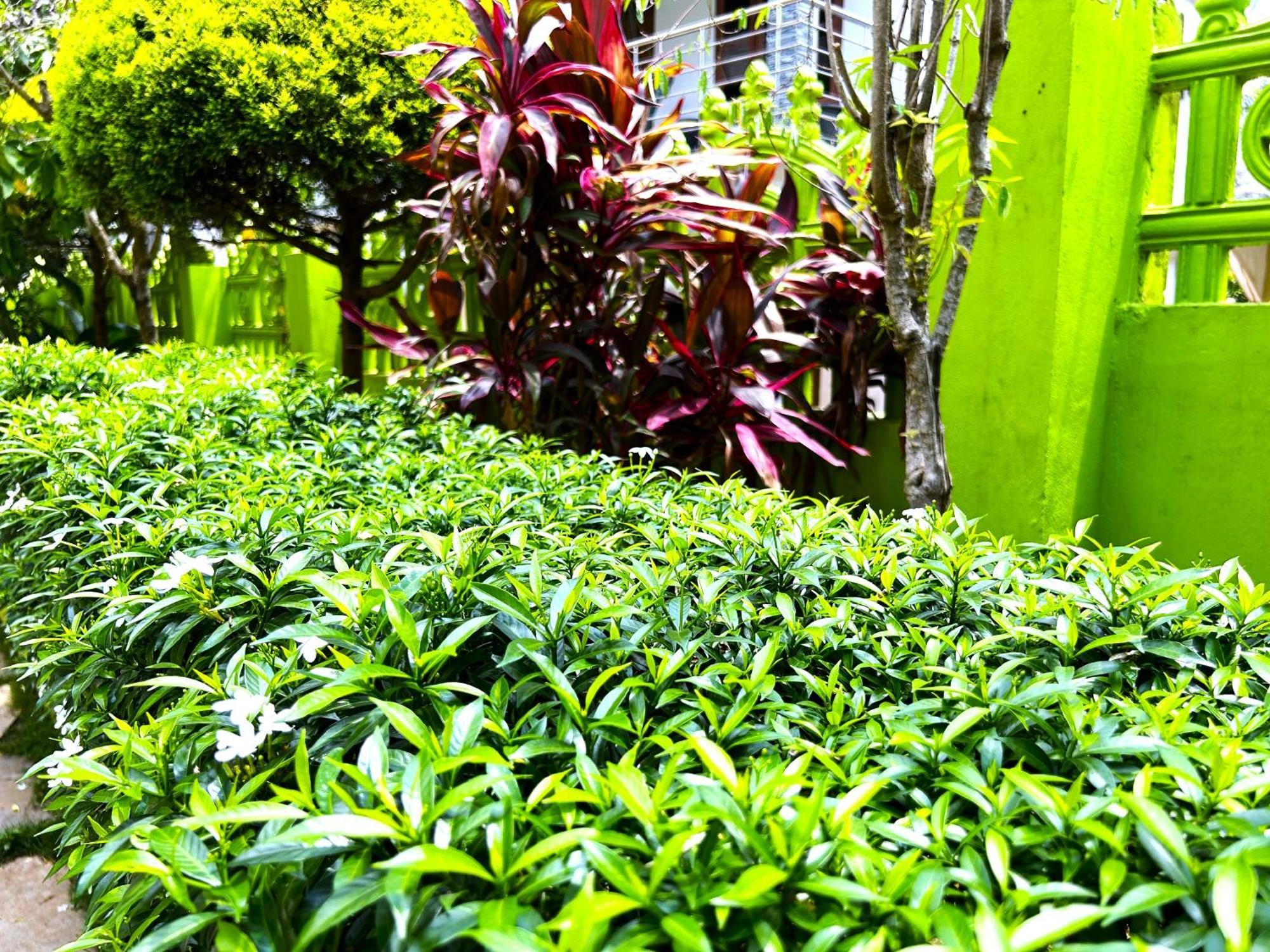 Deluxe Residency Hotel Kalpetta Exterior photo